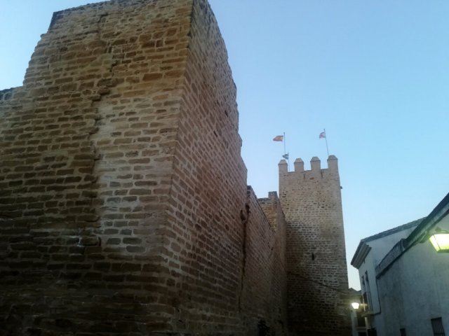 Castillo en c. Trascastillo.